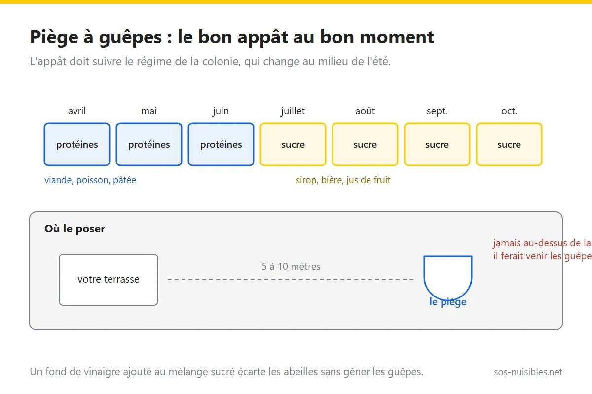 Schéma : appât protéiné au printemps, sucré en fin d'été, et piège posé à distance